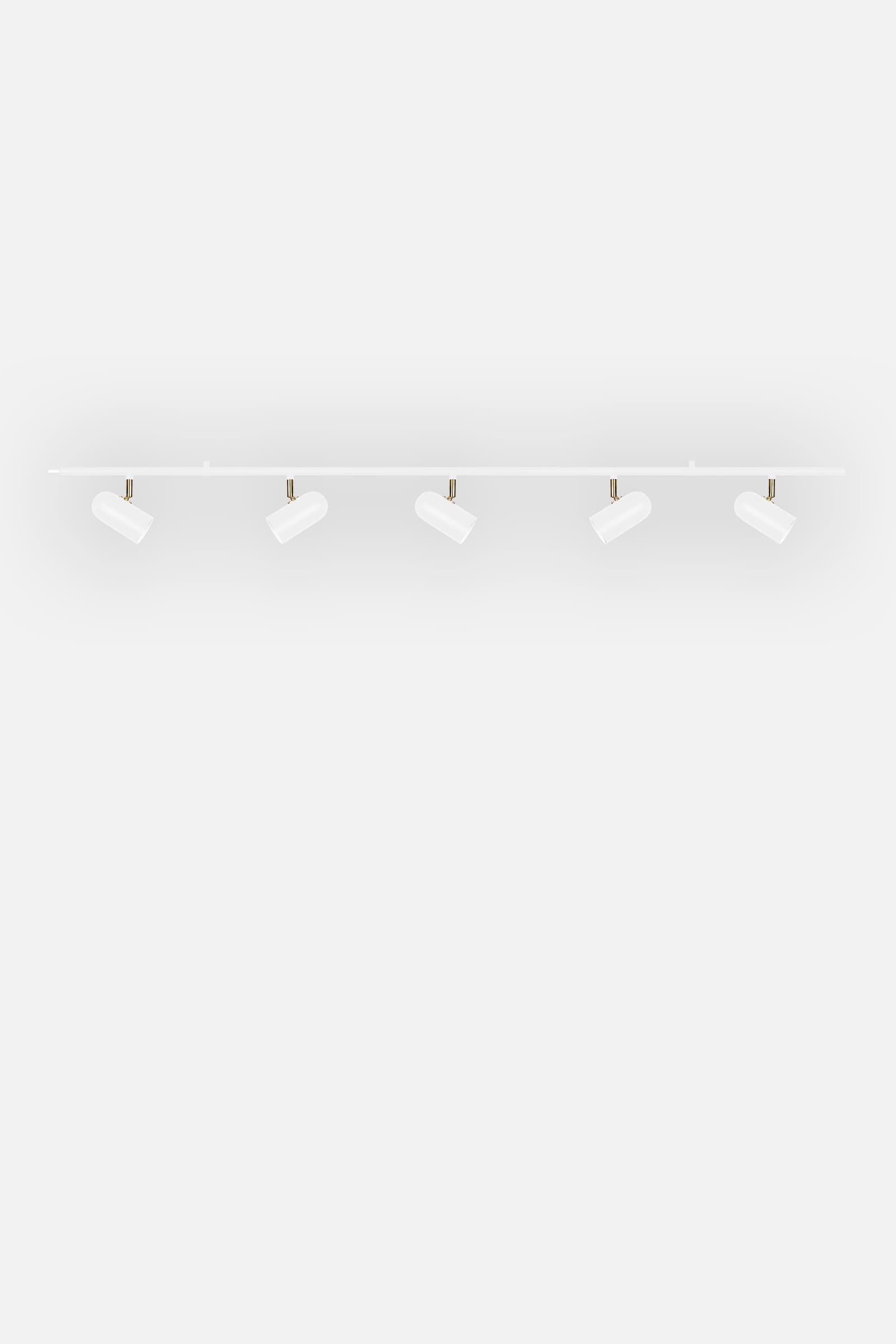 Ceiling Lamp Swan 5